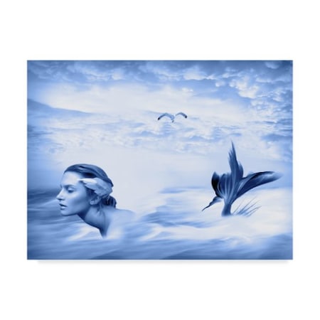 Ata Alishahi 'Lone Mermaid' Canvas Art,35x47